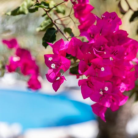 Vila Balaia - Luxury Boutique Villas Албуфейра Экстерьер фото